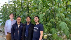 Autonomous Greenhouse from Microsoft is up to the Challenge