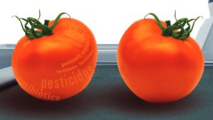 Organic Industry Association Combating Fraud via New Verification Program