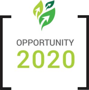 Opportunity 2020 lgo