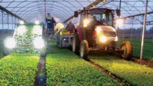 Will COVID-19 Change How and Where Our Food Is Grown? 