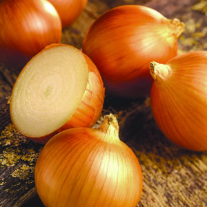 Milestone from Takii & Co., Ltd. and Siegers Seed Company