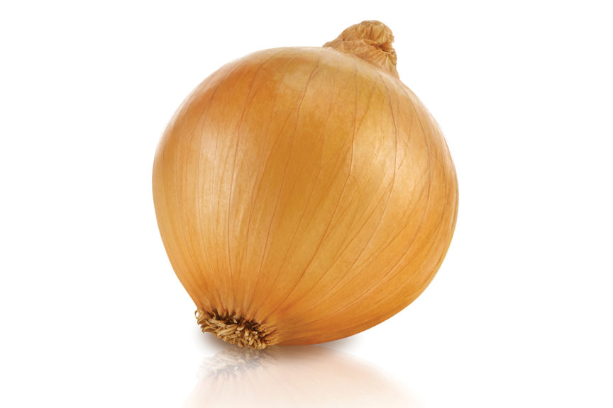 Saddleback from Seminis Vegetable Seeds