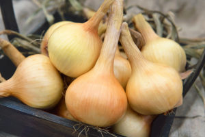 Walla Walla from Terra Organics