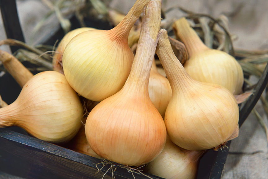Walla Walla from Terra Organics