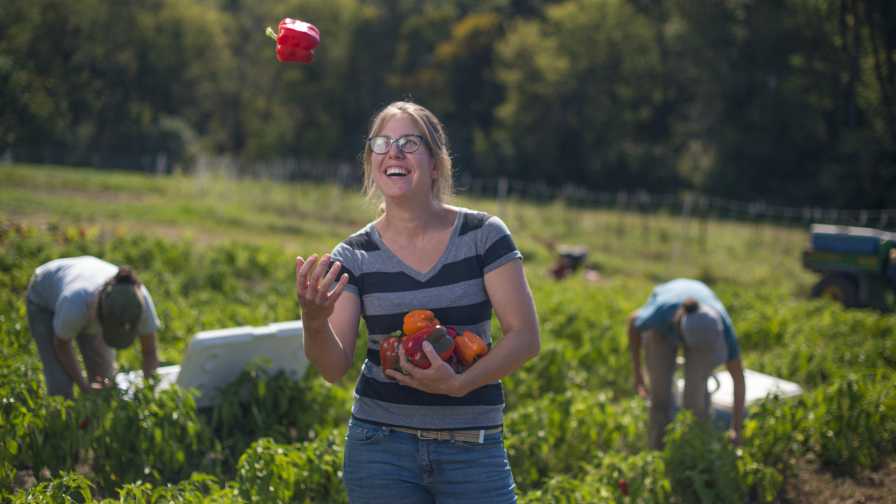 Food for Thought: Southeast Extension Agents Offer Their Top Advice to Growers