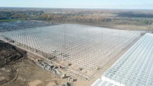 This New Vegetable Greenhouse in New York is Huge!