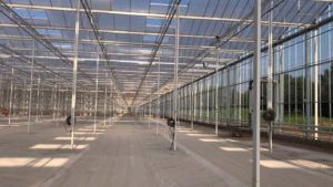 Coronavirus Hits Home at New York Vegetable Greenhouse