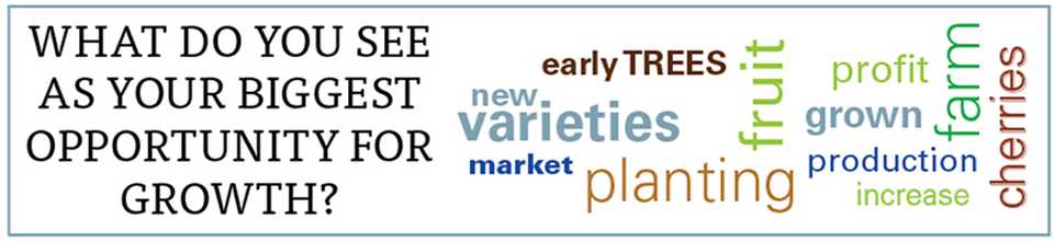 Stone fruit state of the industry 2020 biggest opportunities word cloud graphic