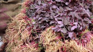 Say Hello to the World’s First Red Spinach