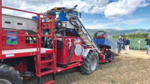 Automation in Vegetable Harvesting Picks up the Momentum