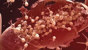 New Solutions for Familiar Crop Protection Problems