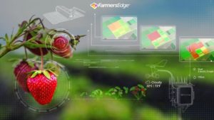 Q&A: Daily Satellite Imagery Service Moves into Specialty Crops
