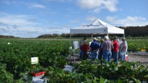 Syngenta’s ‘Future of Veg’ Events Focusing on New Era in Production