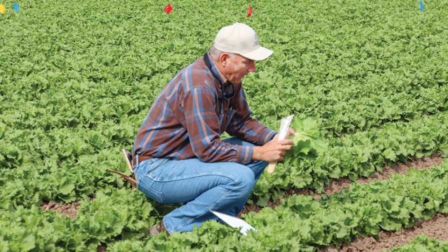 USDA Makes Crop Protection a Priority With Big Investment
