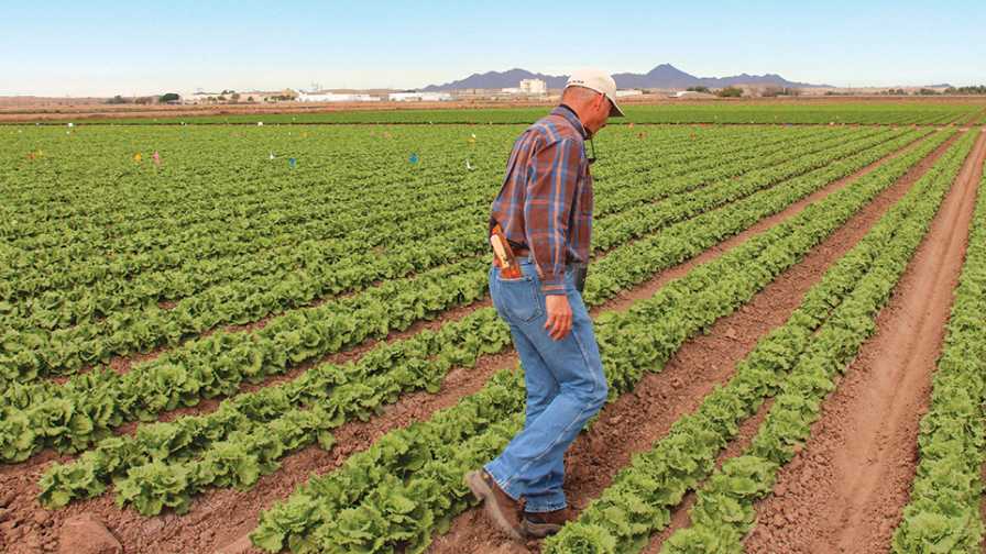 How the Role of Pest Control Adviser Came to Be