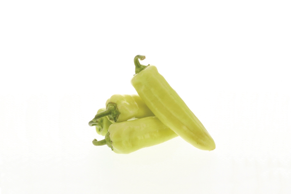Fury from Seminis Vegetable Seeds / Bayer Crop Science