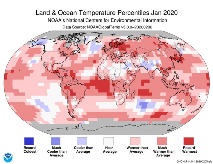 world temperature trends January 2020