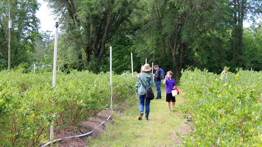 Make Way for a New Wave of Agritourism