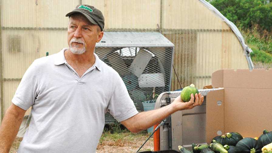 Why Responsive Agriculture Offers the Nutrition Advantage