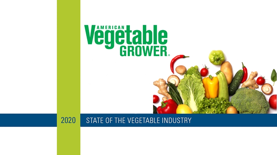 Trends We’re Seeing in the State of the Vegetable Industry