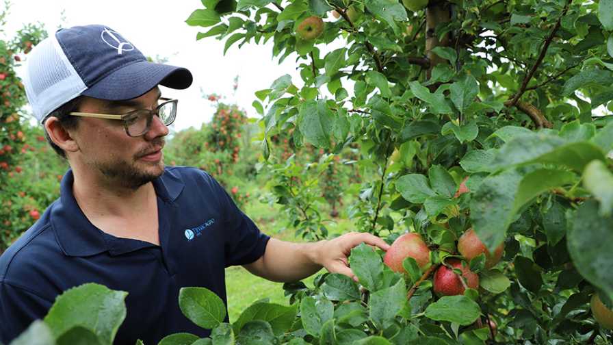 Ways Biofertilizers Work To Improve Soil Function for Tree Fruit