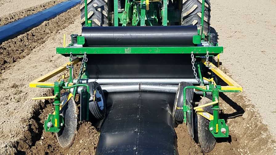 Why Biodegradable Plastic Mulch is Trending with Berry Growers