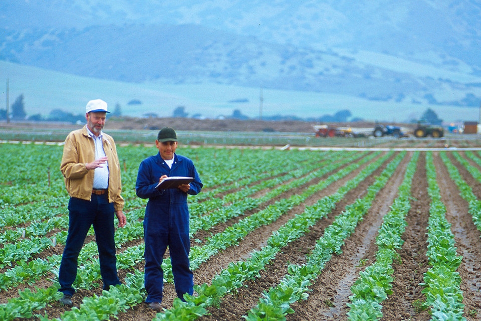 How Growers Can Repair Broken Customer Relationships
