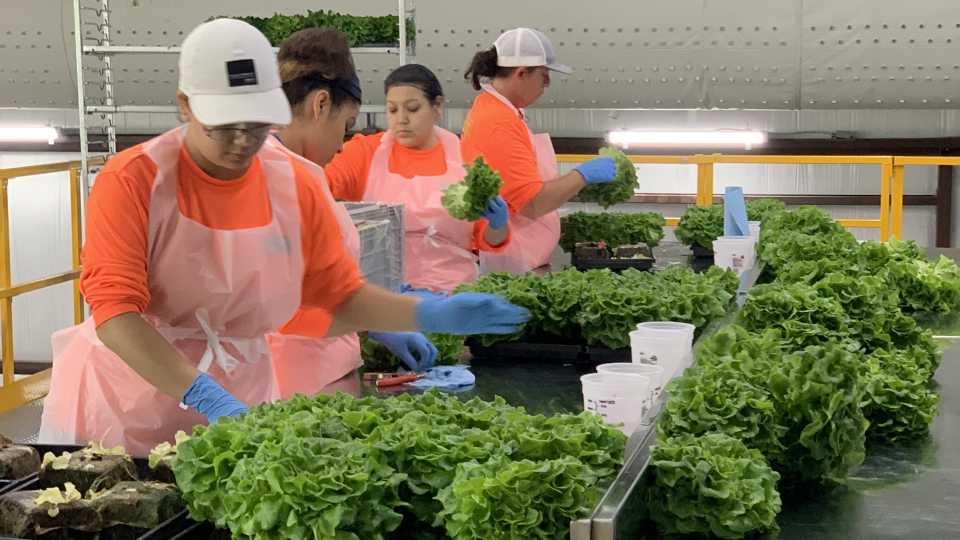 FDA to Resume FSMA Inspections