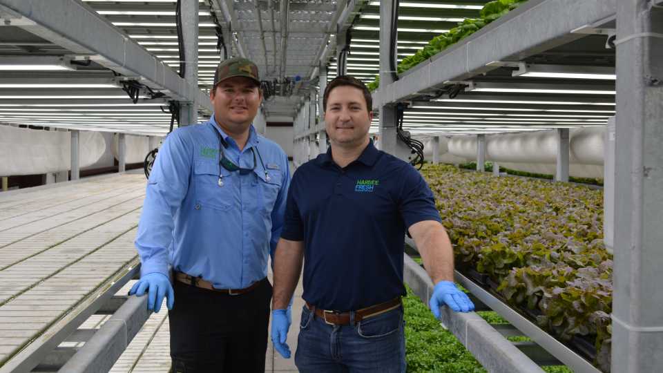 Cutting-Edge Agriculture Reaching New Heights in Florida