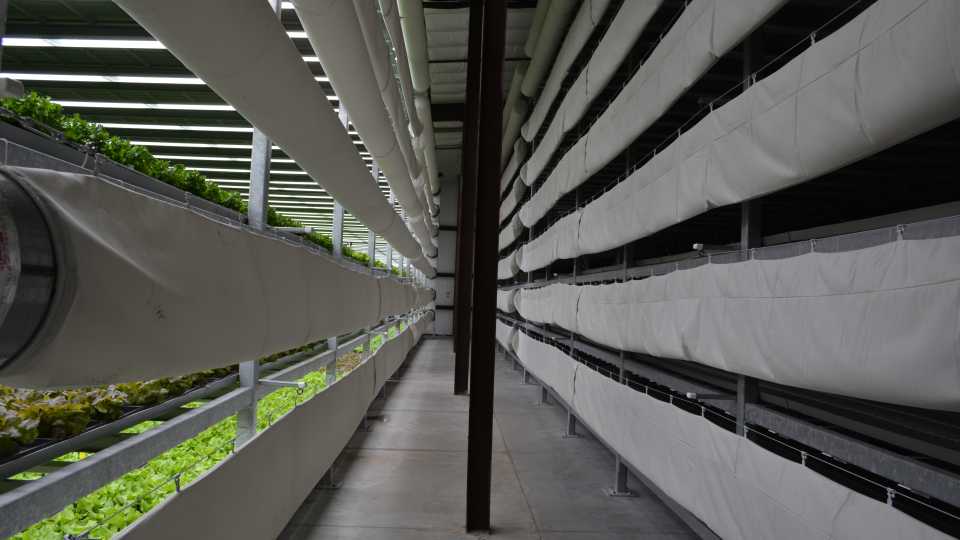 Here Are the 4 Biggest Benefits of Indoor Farming