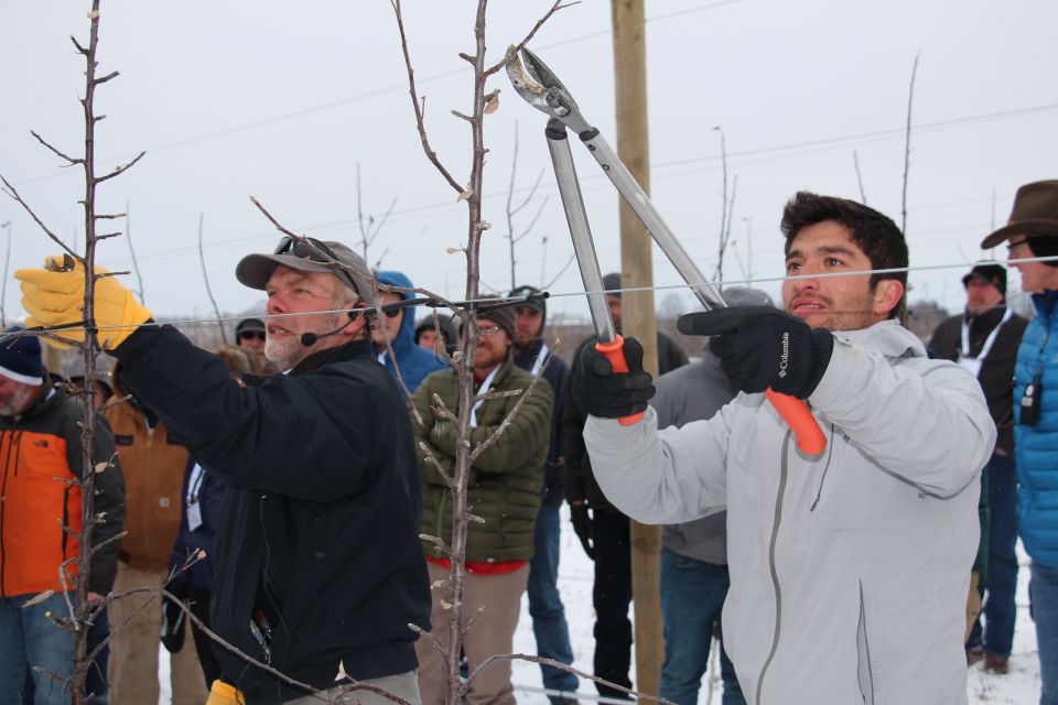 Why Apple Growers Are Being Urged to Stay a Cut Above