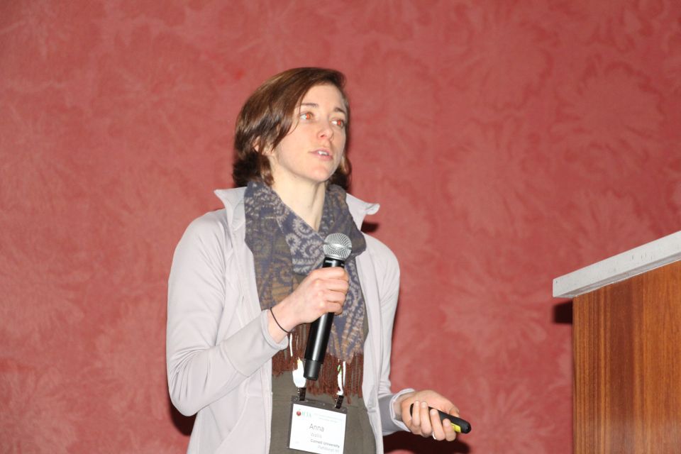 IFTA, Anna Wallis, Cornell University