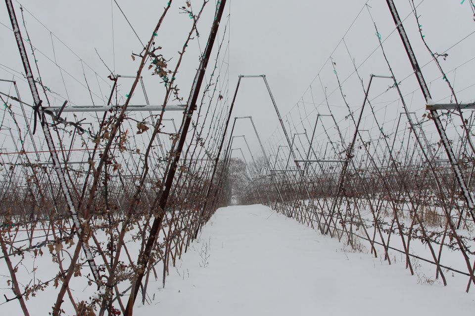 IFTA, Riveridge Orchards.