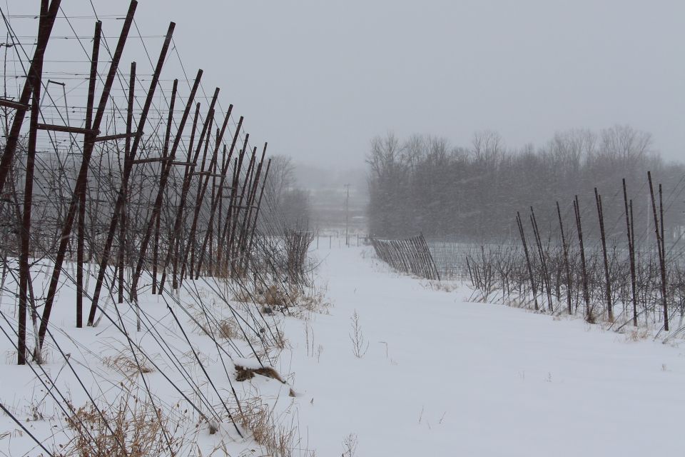 IFTA, Riveridge Orchards.