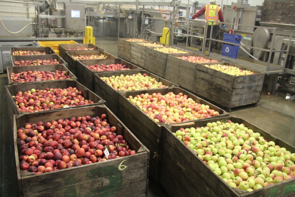 2020 Apple Crop Projected Slightly Down From Last Year