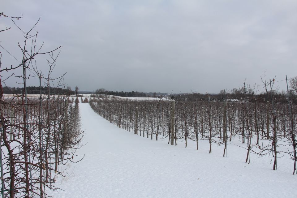 IFTA, Van Agtmael Orchards.