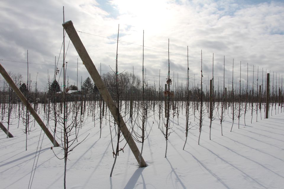Van Agtmael Orchards in Hart, MI, during IFTA Conference 2020