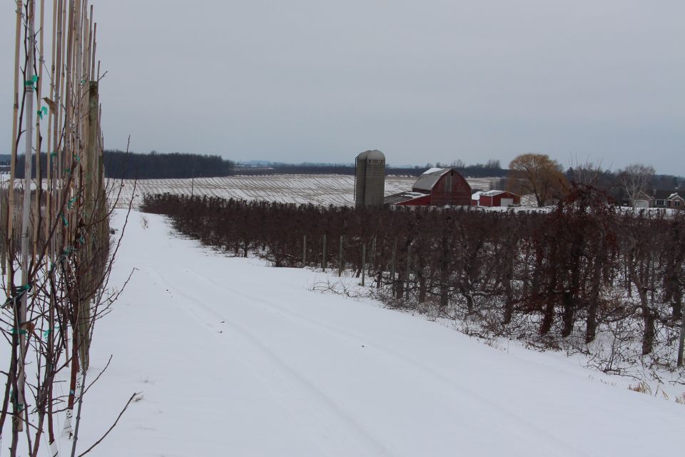 IFTA, Windy Ridge Orchards.