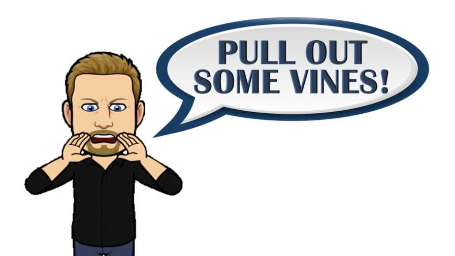 Again!? The Time Is Now for California Wine Grape Growers To Pull Out Old Vines