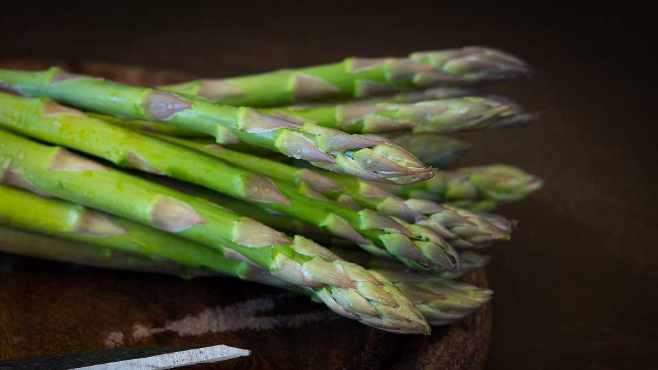 How To Optimize Your Asparagus Harvest