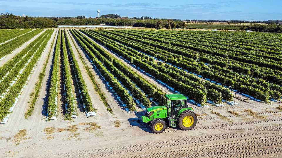 How The DiMare Company Tames a Wild Fresh Tomatoes Market