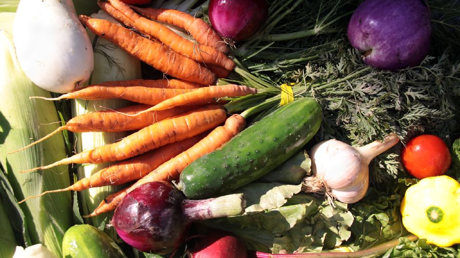 Close Watch on the U.S. Fresh Fruit and Vegetable Supply