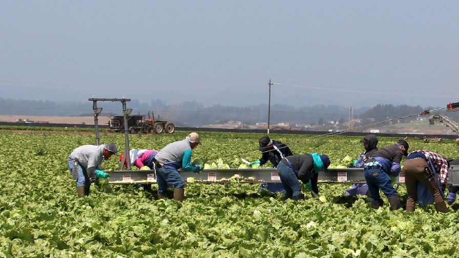 Produce Industry Leaders Speak up About Need for Immigration Reform