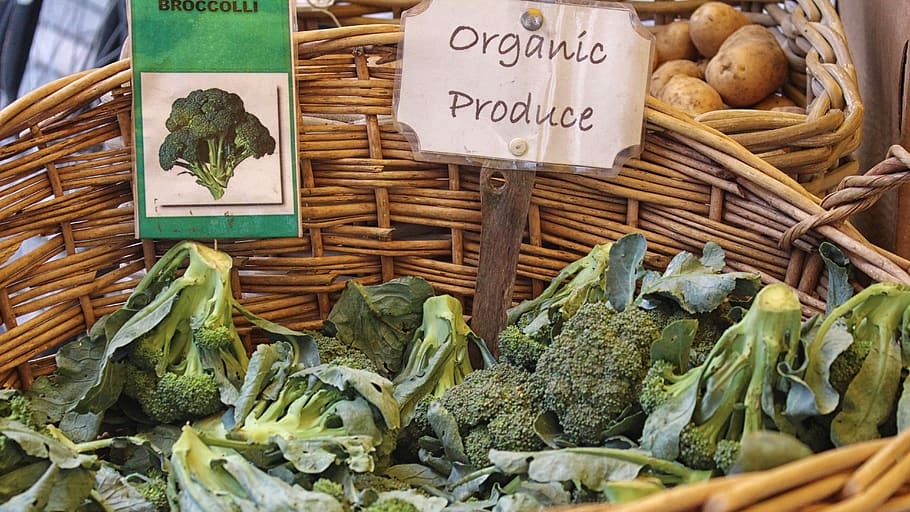 Bring Organic Production Home to the U.S. [Opinion]