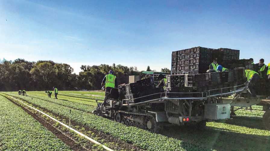 Working Remote a Natural Fit for this Organic Grower