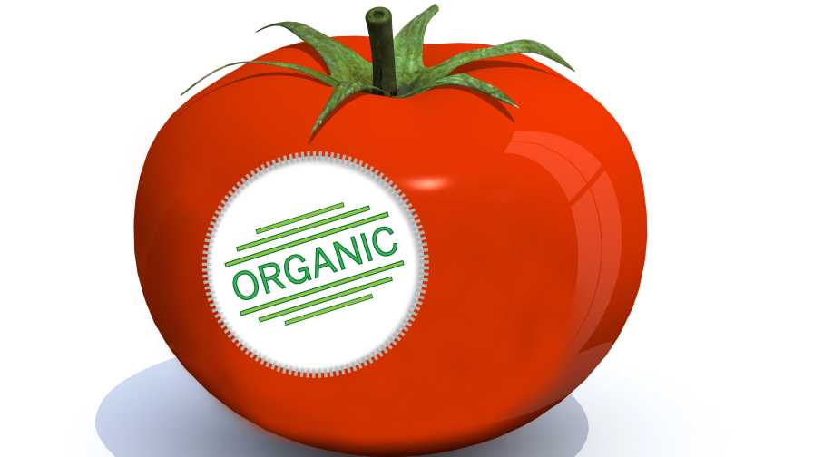 Organic Farming Research Projects You Should Know