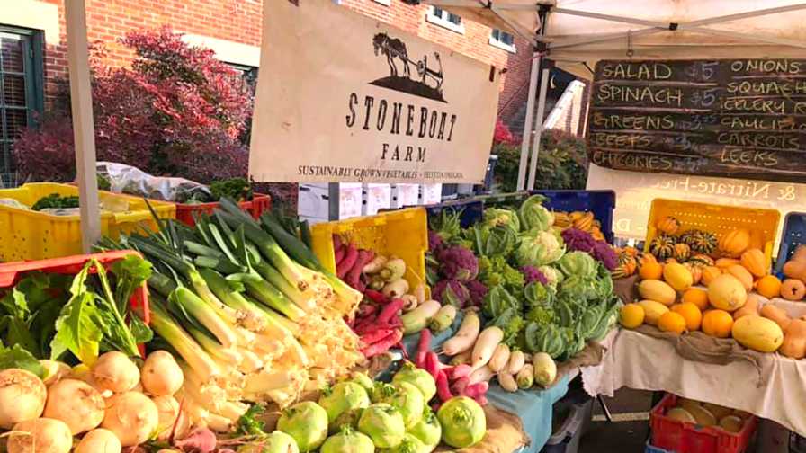 A Vegetable Farm Reinvents Itself to Weather the Pandemic