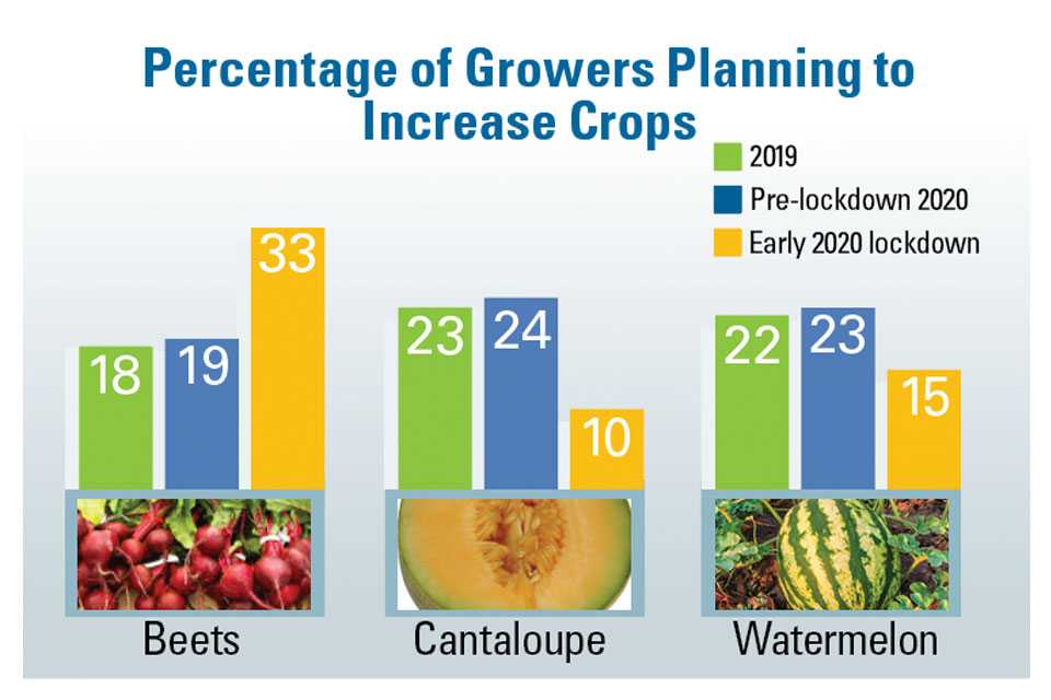 AVG SOI 2020 Percentage of growers planning to increase production