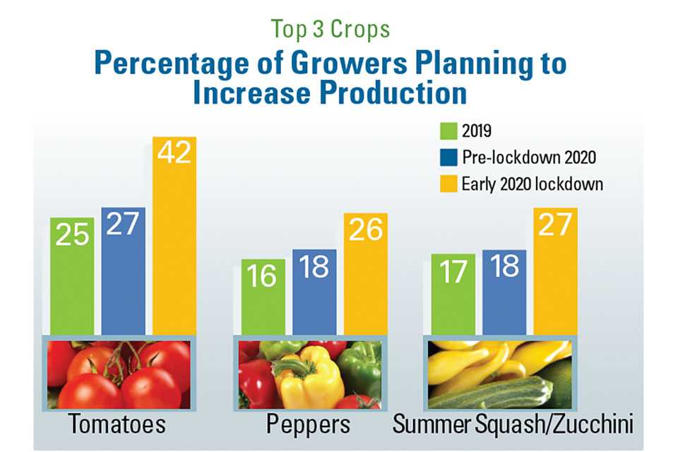 Top 3 Crops Increase Production survey graphic