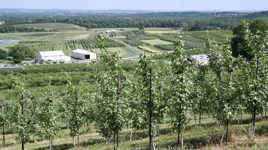 What Fruit and Nut Growers Are Feeling Headed into a New Year